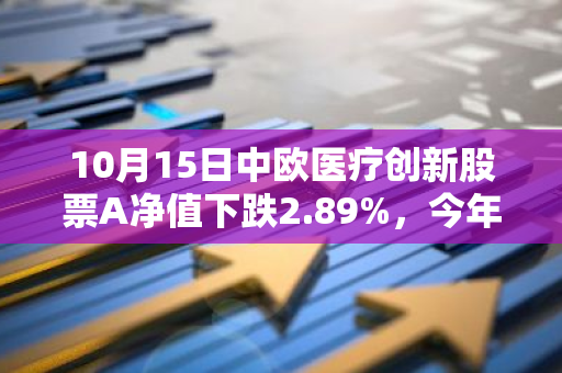 10月15日中欧医疗创新股票A净值下跌2.89%，今年来累计下跌14.86%