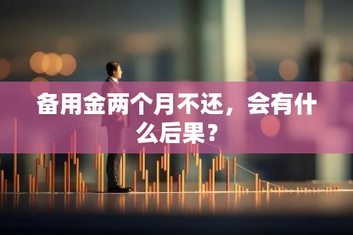 备用金两个月不还，会有什么后果？