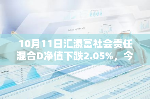 10月11日汇添富社会责任混合D净值下跌2.05%，今年来累计上涨4.28%