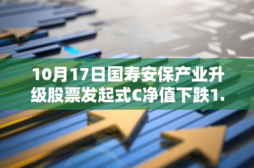 10月17日国寿安保产业升级股票发起式C净值下跌1.01%，近6个月累计下跌2.34%