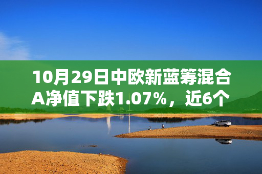 10月29日中欧新蓝筹混合A净值下跌1.07%，近6个月累计上涨1.61%