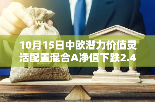 10月15日中欧潜力价值灵活配置混合A净值下跌2.48%，今年来累计下跌4.98%