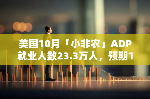 美国10月「小非农」ADP就业人数23.3万人，预期11.4万人