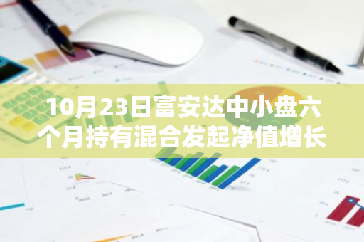 10月23日富安达中小盘六个月持有混合发起净值增长0.03%，近1个月累计上涨13.75%