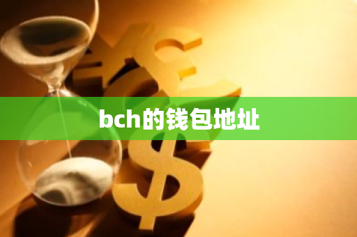 bch的钱包地址