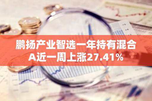 鹏扬产业智选一年持有混合A近一周上涨27.41%