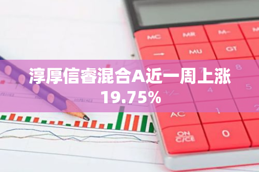 淳厚信睿混合A近一周上涨19.75%