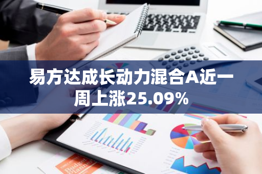 易方达成长动力混合A近一周上涨25.09%