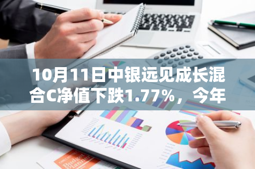 10月11日中银远见成长混合C净值下跌1.77%，今年来累计下跌11.14%