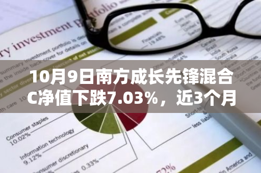 10月9日南方成长先锋混合C净值下跌7.03%，近3个月累计上涨9.04%