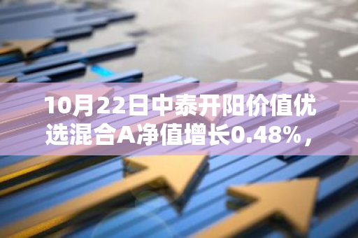 10月22日中泰开阳价值优选混合A净值增长0.48%，近1个月累计上涨29.61%