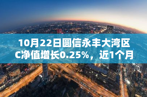 10月22日圆信永丰大湾区C净值增长0.25%，近1个月累计上涨30.81%