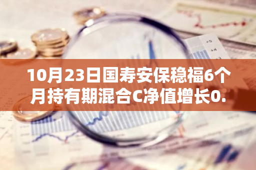 10月23日国寿安保稳福6个月持有期混合C净值增长0.18%，今年来累计上涨10.94%