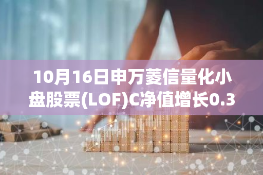 10月16日申万菱信量化小盘股票(LOF)C净值增长0.38%，近1个月累计上涨21.12%