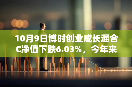 10月9日博时创业成长混合C净值下跌6.03%，今年来累计上涨5.55%