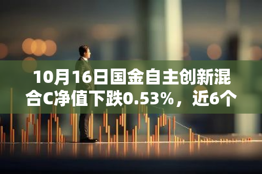 10月16日国金自主创新混合C净值下跌0.53%，近6个月累计上涨2.22%