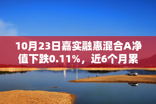 10月23日嘉实融惠混合A净值下跌0.11%，近6个月累计下跌0.48%