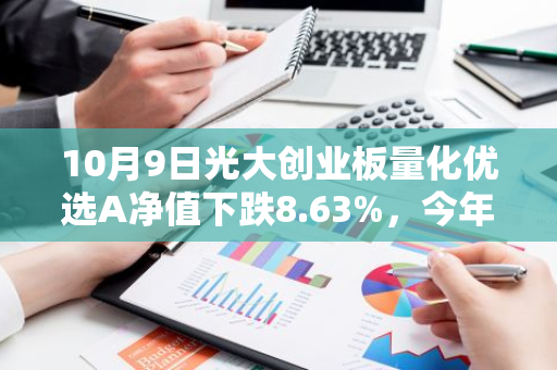 10月9日光大创业板量化优选A净值下跌8.63%，今年来累计上涨19.03%