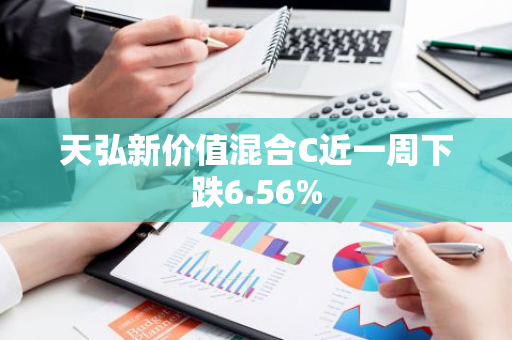 天弘新价值混合C近一周下跌6.56%