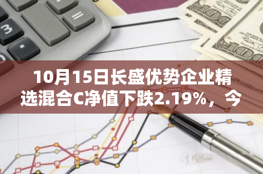 10月15日长盛优势企业精选混合C净值下跌2.19%，今年来累计上涨2.42%