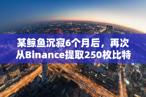 某鲸鱼沉寂6个月后，再次从Binance提取250枚比特币