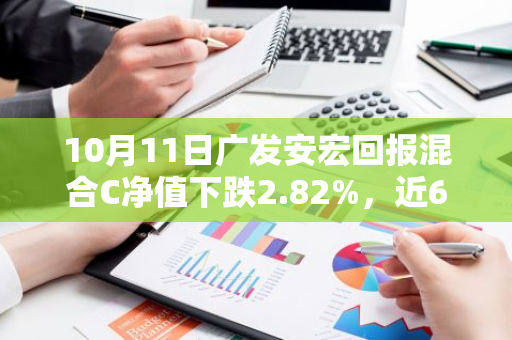 10月11日广发安宏回报混合C净值下跌2.82%，近6个月累计下跌6.46%