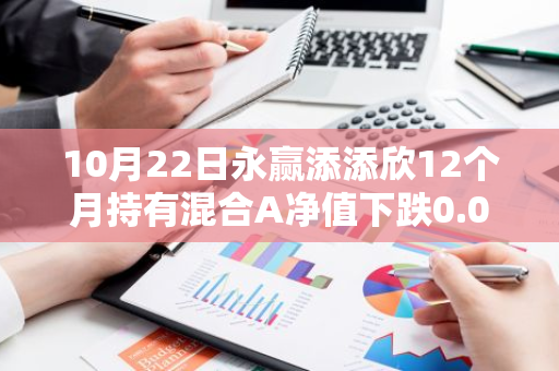 10月22日永赢添添欣12个月持有混合A净值下跌0.09%，近3个月累计上涨1.03%