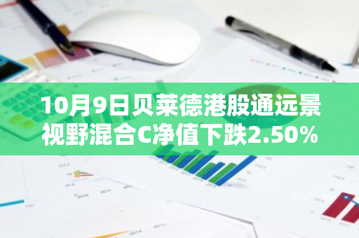 10月9日贝莱德港股通远景视野混合C净值下跌2.50%，近3个月累计上涨1.01%