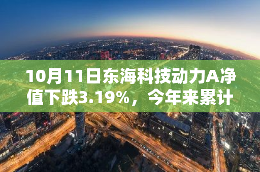 10月11日东海科技动力A净值下跌3.19%，今年来累计下跌17.92%