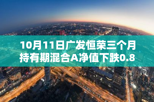 10月11日广发恒荣三个月持有期混合A净值下跌0.85%，今年来累计下跌4.06%