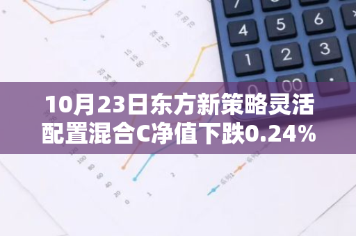 10月23日东方新策略灵活配置混合C净值下跌0.24%，今年来累计下跌3.87%