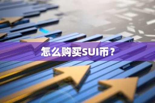 怎么购买SUI币？