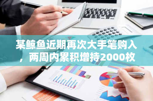 某鲸鱼近期再次大手笔购入，两周内累积增持2000枚BTC，其比特币持有量已达到惊人的600枚