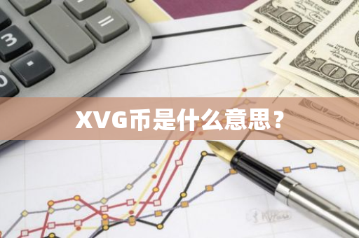 XVG币是什么意思？