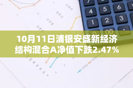 10月11日浦银安盛新经济结构混合A净值下跌2.47%，今年来累计上涨1.2%