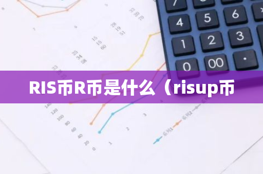 RIS币R币是什么（risup币