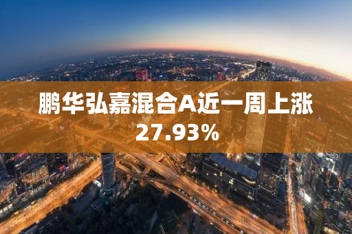 鹏华弘嘉混合A近一周上涨27.93%