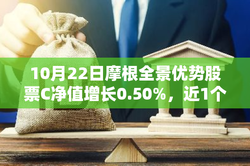 10月22日摩根全景优势股票C净值增长0.50%，近1个月累计上涨17.03%