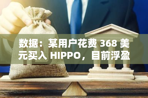 数据：某用户花费 368 美元买入 HIPPO，目前浮盈 200 万美元