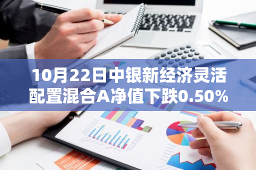 10月22日中银新经济灵活配置混合A净值下跌0.50%，今年来累计上涨8.33%