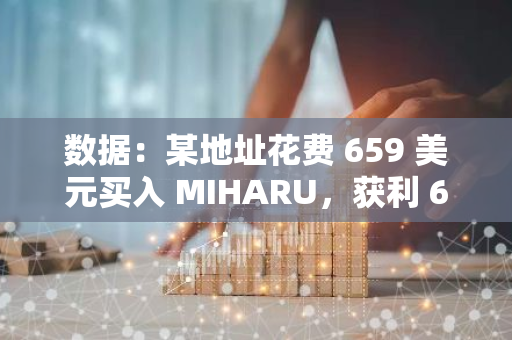 数据：某地址花费 659 美元买入 MIHARU，获利 6.2 万美元回报率达 93 倍