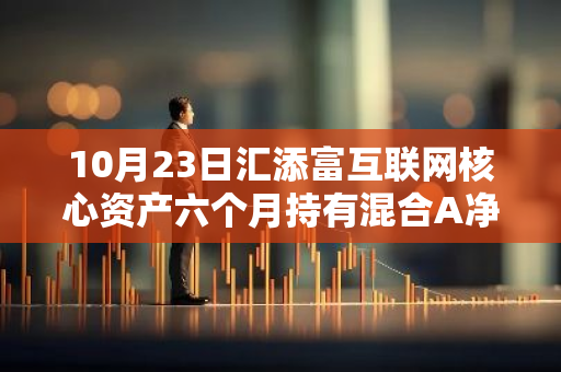 10月23日汇添富互联网核心资产六个月持有混合A净值下跌0.95%，近3个月累计上涨13.67%