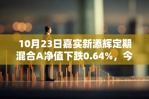 10月23日嘉实新添辉定期混合A净值下跌0.64%，今年来累计上涨0.32%