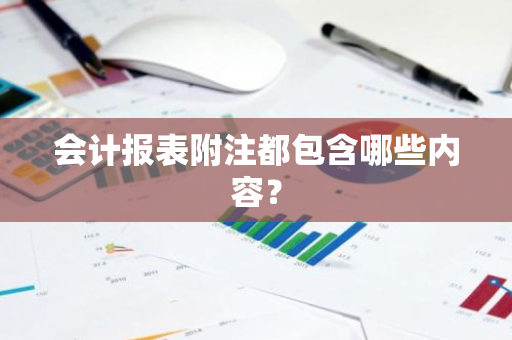 会计报表附注都包含哪些内容？