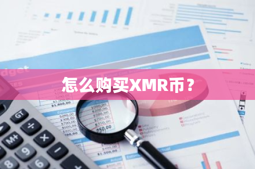 怎么购买XMR币？