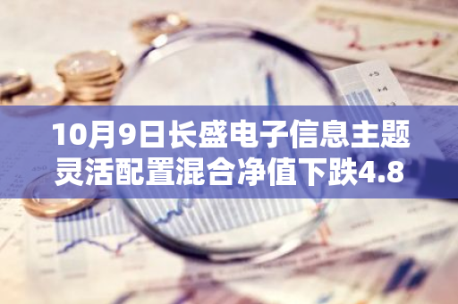 10月9日长盛电子信息主题灵活配置混合净值下跌4.85%，近3个月累计上涨6.51%