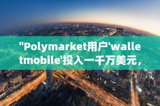 "Polymarket用户'walletmobile'投入一千万美元，坚信特朗普将赢得选举"