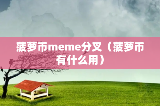 菠萝币meme分叉（菠萝币有什么用）