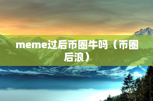 meme过后币圈牛吗（币圈后浪）