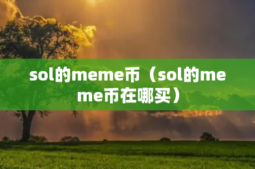 sol的meme币（sol的meme币在哪买）